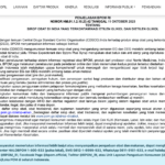 BPOM RI: Sirop Obat dari India yang Terkontaminasi Etilen Glikol dan Dietilen Glikol Tidak Beredar di Indonesia